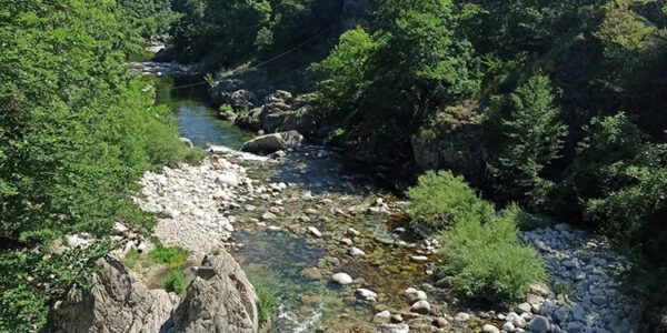 Rivière